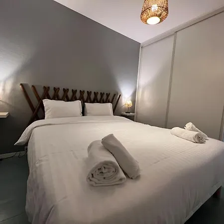 Apartman 23 Le Celeste Paul Bert By Saint-Étienne